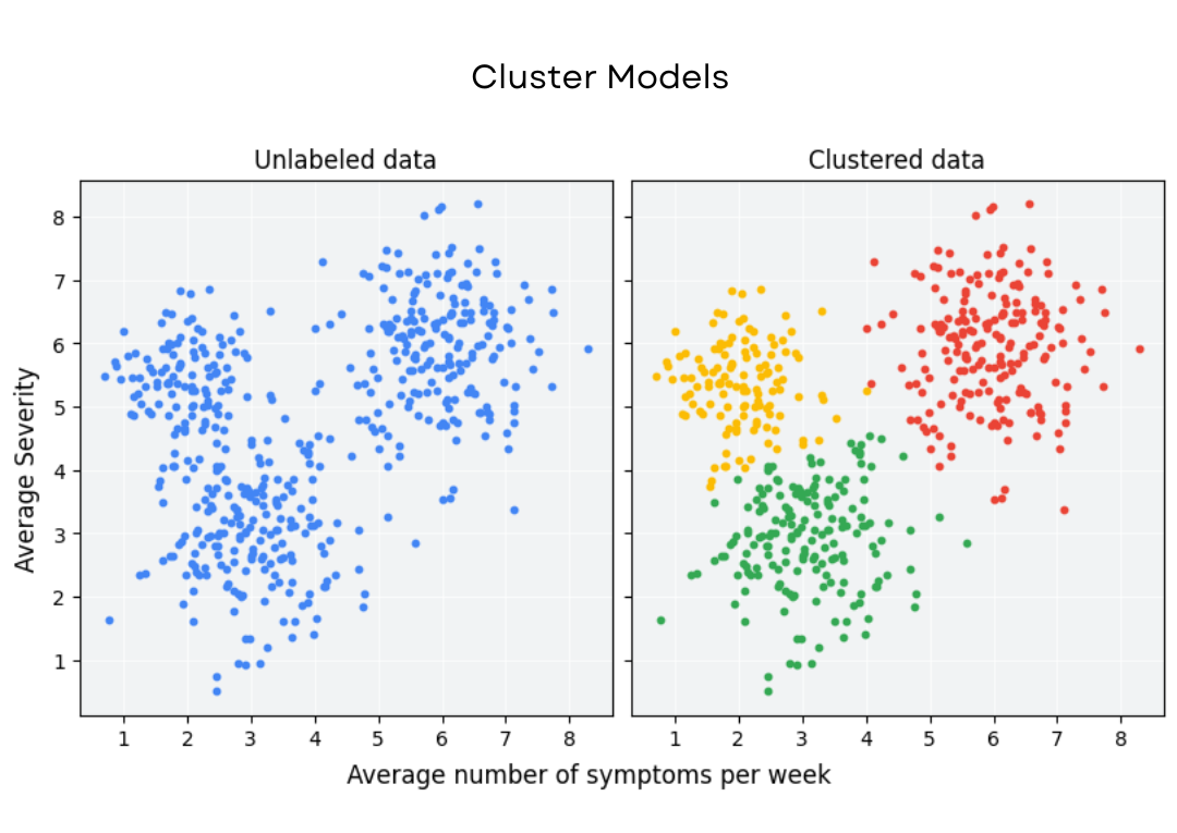 Cluster Models